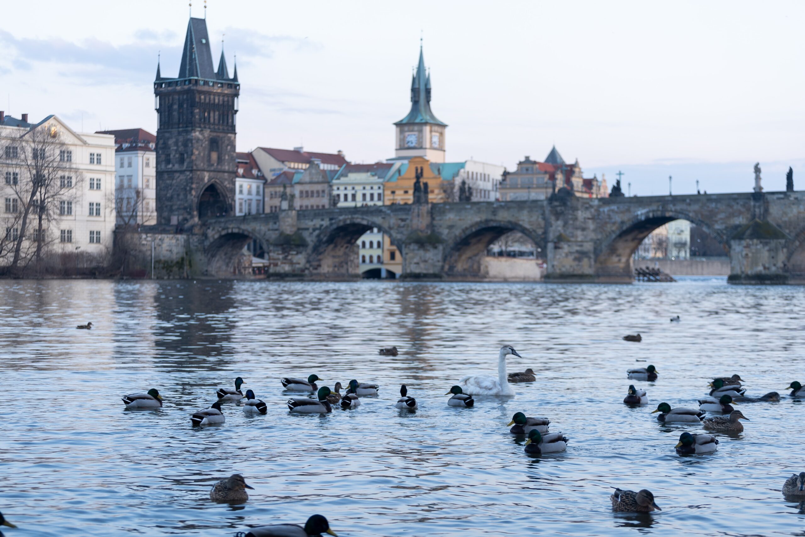 Praga nel corso dei secoli: Un affascinante viaggio attraverso la sua evoluzione storica e culturale