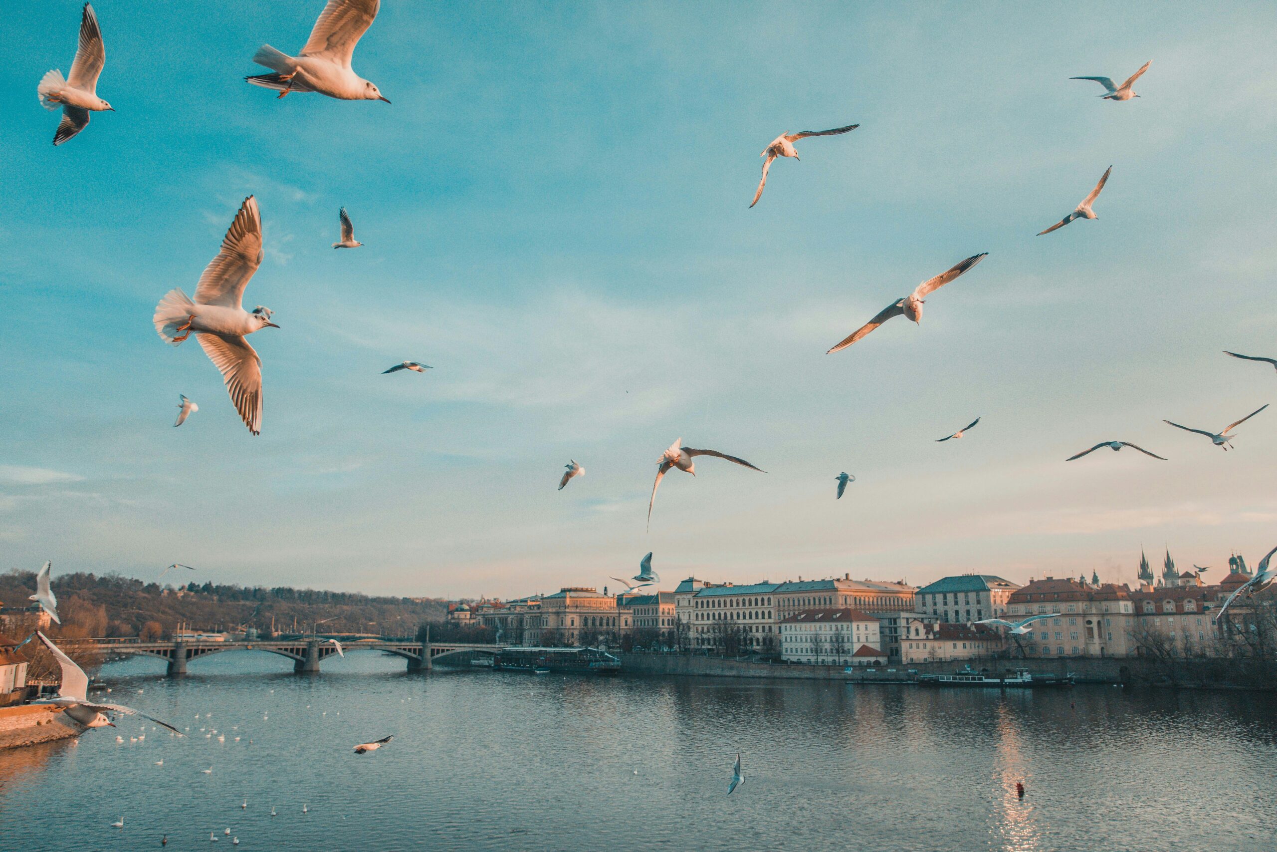 Everything an expat needs to know when deciding to rent a flat in Prague